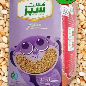 تغذیه سلامت مدارس شیرین آجیل